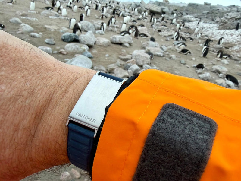 Antarctica